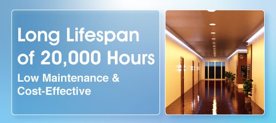 A light blue banner that shows a hallway with warm tone colours and multiple lights on the ceiling and the text at the side that says Long Lifespan of 20,000 Hours Low Maintenance & Cost-Effective